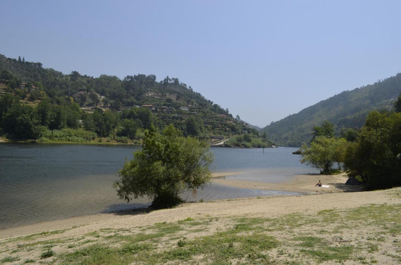 Encosta Do Douro - Rio Douro Villa Cinfaes Exterior photo