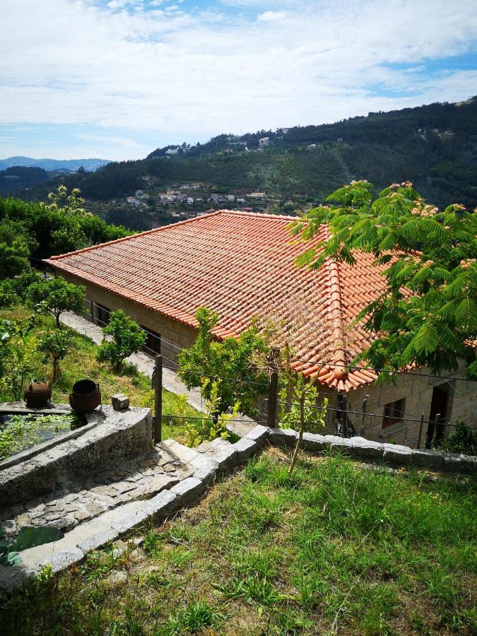 Encosta Do Douro - Rio Douro Villa Cinfaes Exterior photo