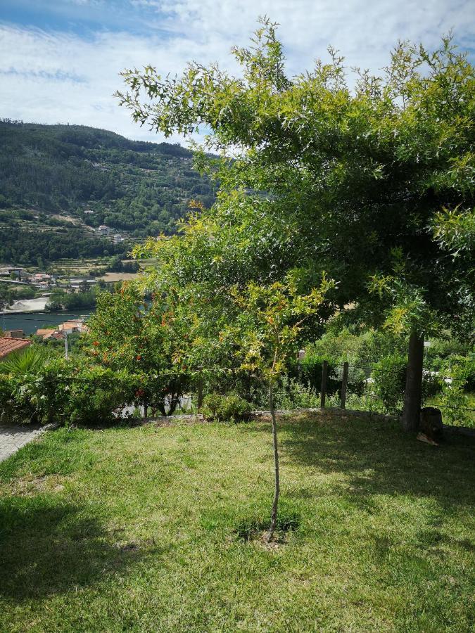 Encosta Do Douro - Rio Douro Villa Cinfaes Exterior photo