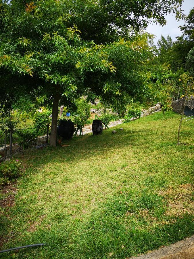 Encosta Do Douro - Rio Douro Villa Cinfaes Exterior photo